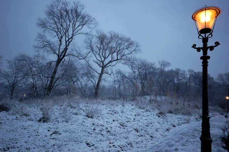 street light in an open snowy park at night