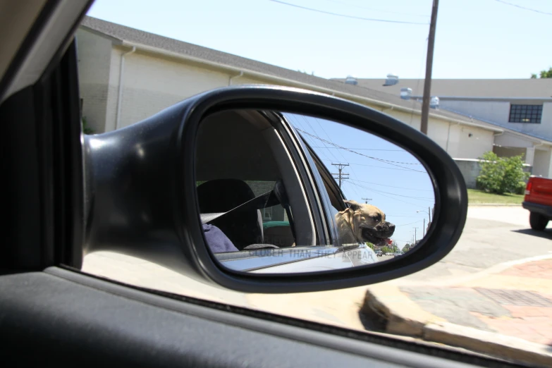 a rear view mirror of a car with a dog