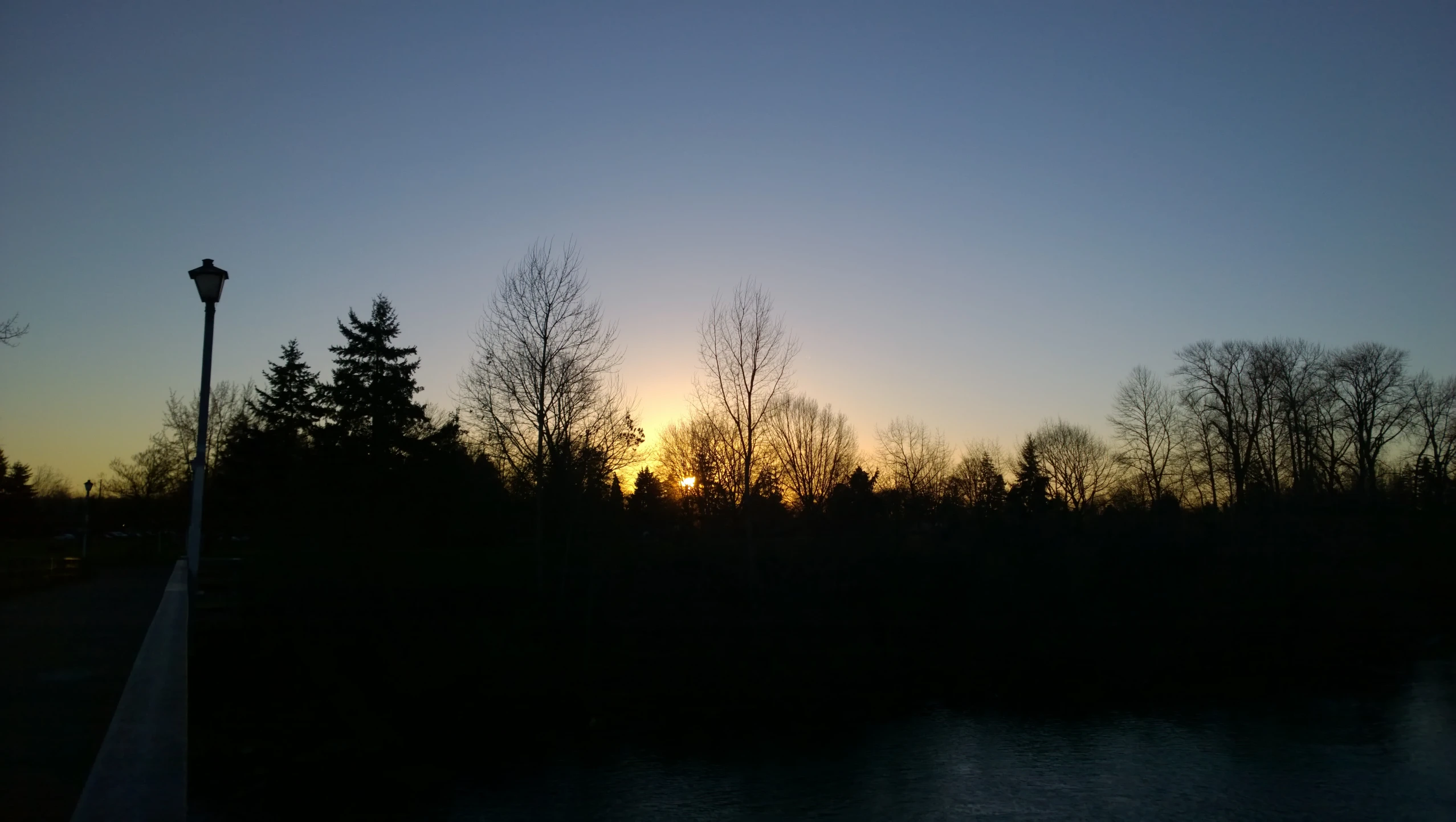 a small lake with trees in front of it and a street light near it