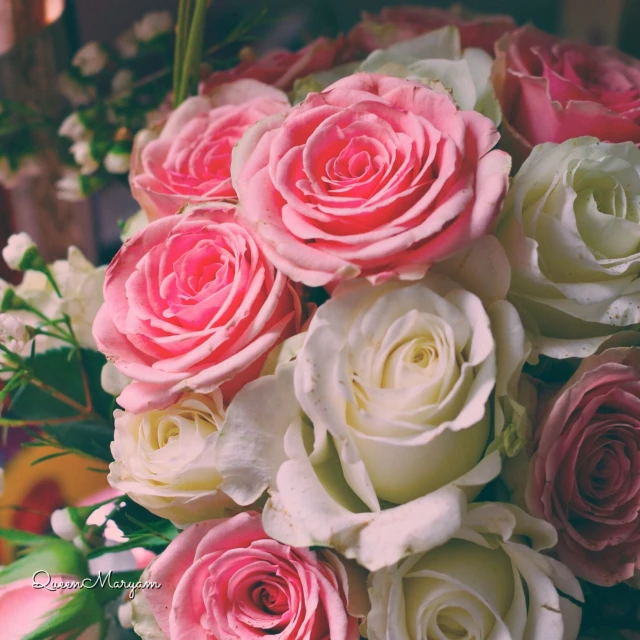 many flowers with long, thin stems and large pink blooms