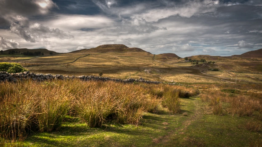 a path winds through a grassy area surrounded by mountains