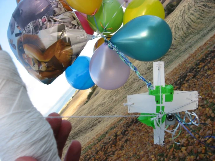 a bunch of balloons are tied together on a string