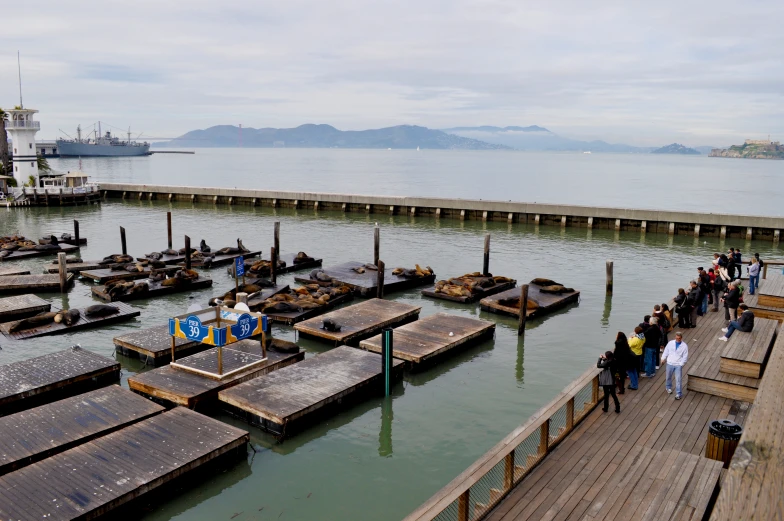 many people on a pier waiting to board a ship