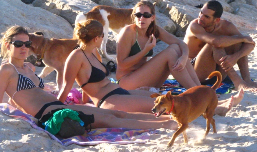 two women and a man in bikinis on beach