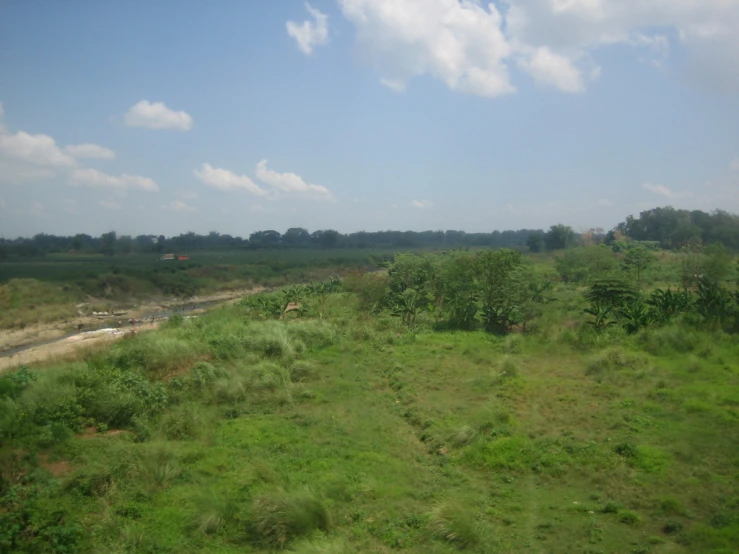 a landscape s of a grassy field with some trees