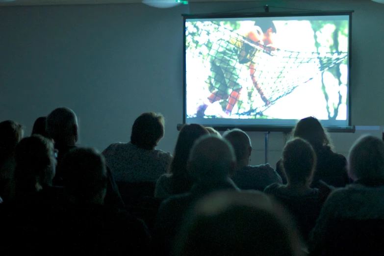 the audience watches a projection to show their unique nature