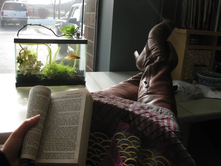 an empty book and a woman's feet with boots, resting in a chair, beside a fish tank filled with plants