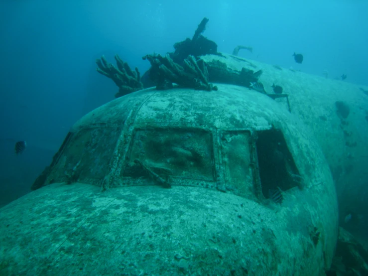 an old plane with a window under water