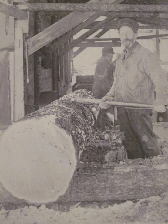 two men are looking at a wooden log