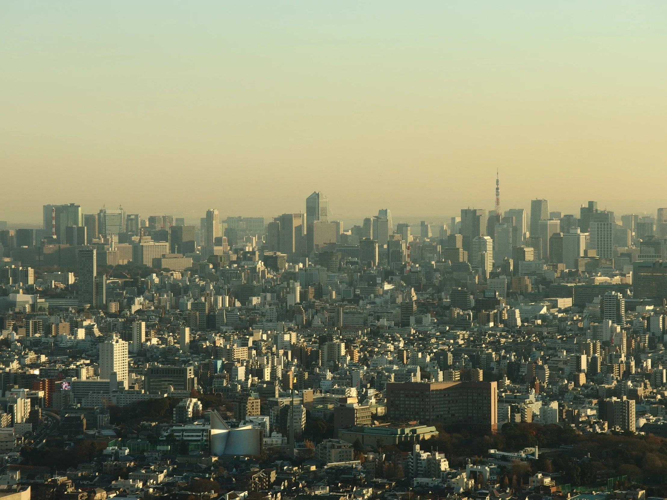 view of a cityscape and tall buildings from the peak