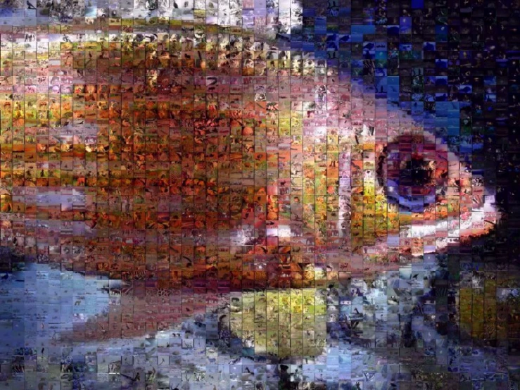 colorful fish with spots and lines on it's body