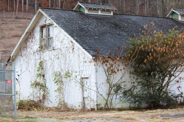 an old, white barn is overgrown with plants