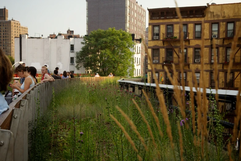 people enjoy a green roof terrace while others are sitting in the city
