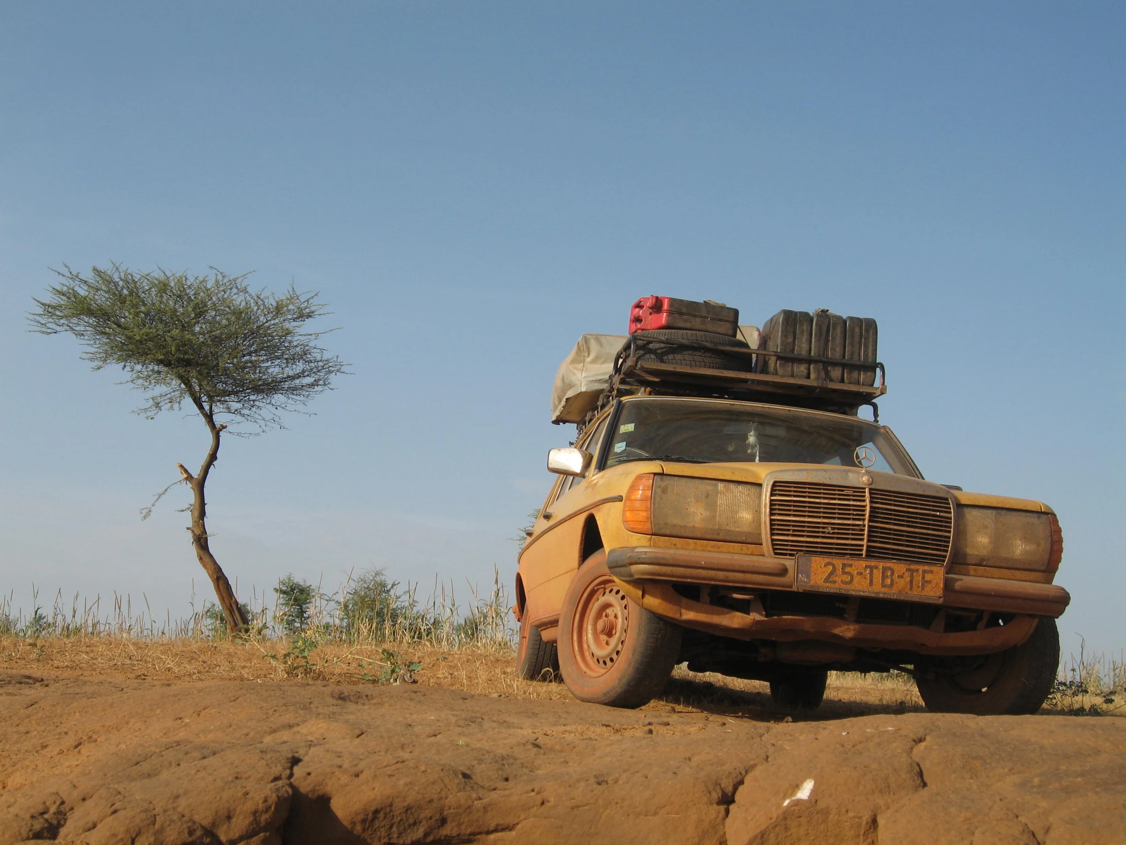 an older vehicle with a large tree in the background