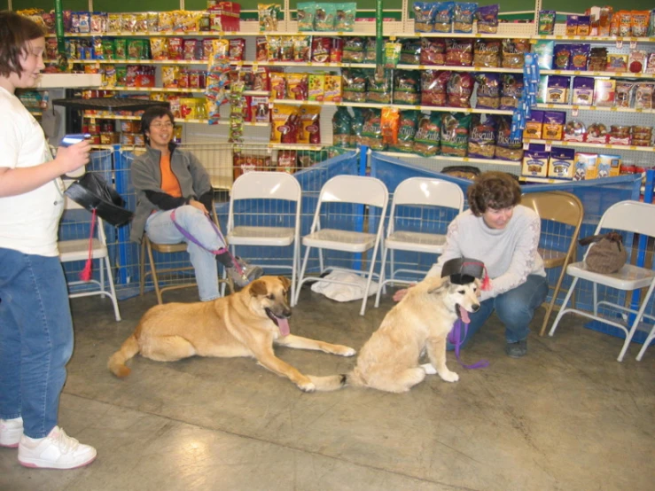 a few women are sitting with three large dogs