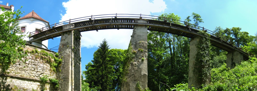 there is a bridge that crosses over water in the woods