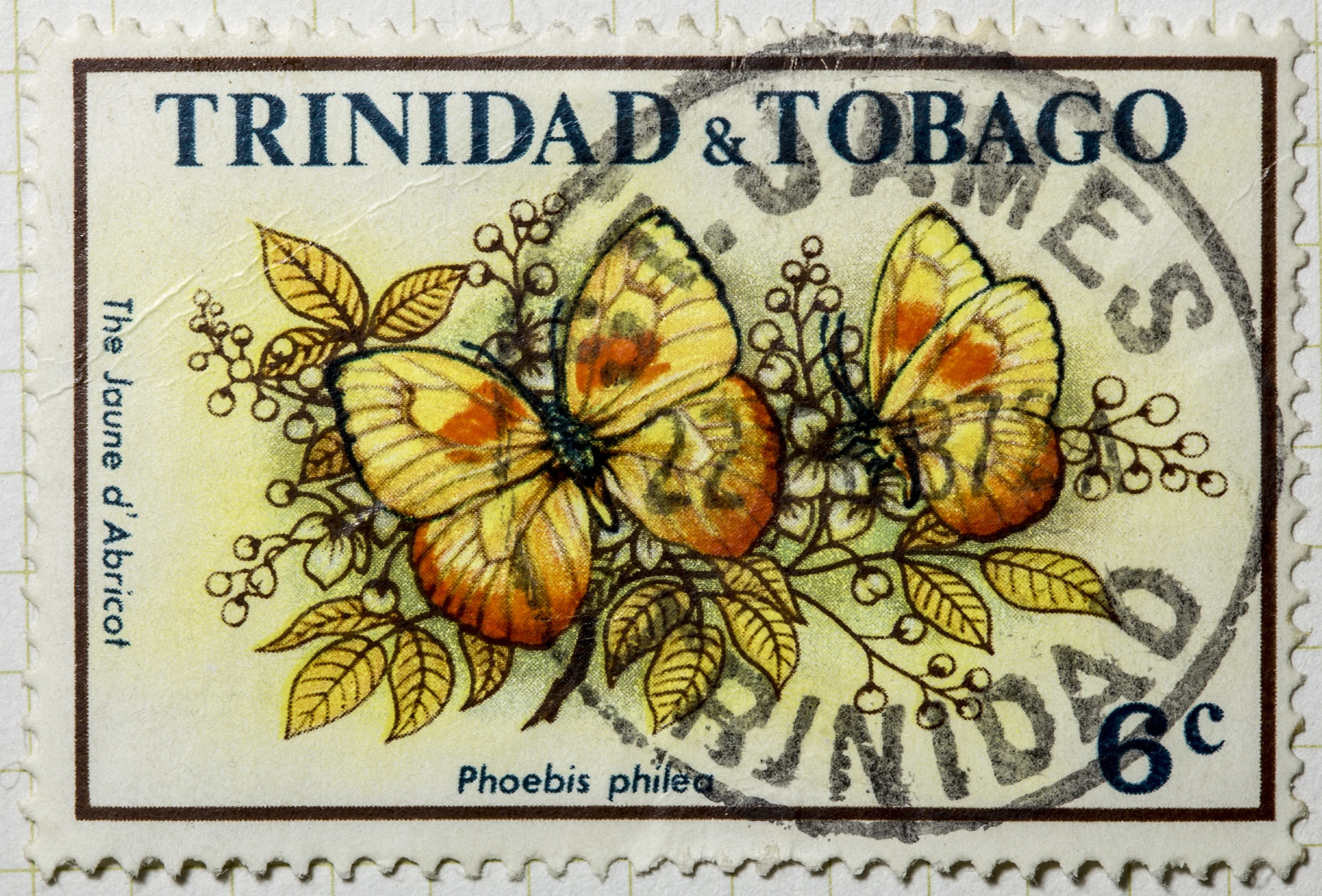 postage stamp with yellow erflies and leaves, latin america