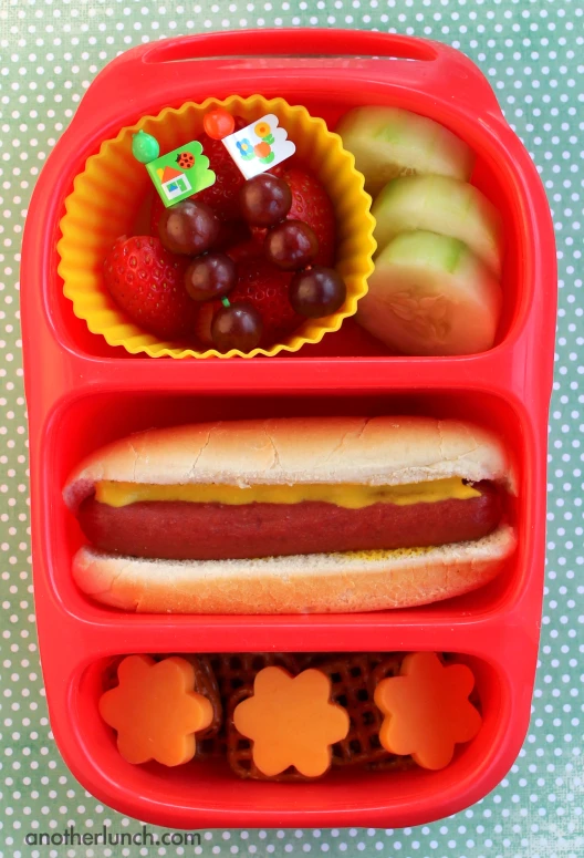 a plastic container with a sausage, apple slices and other foods in it