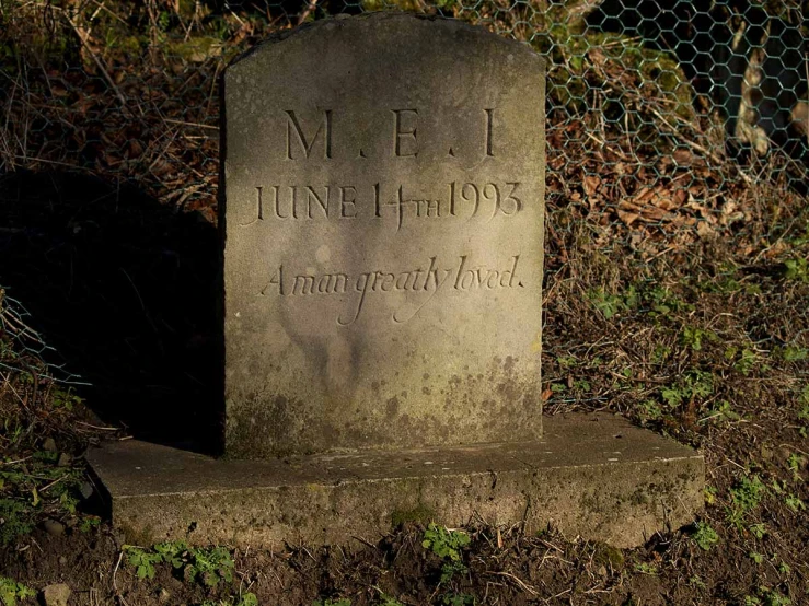 a concrete grave surrounded by weeds and bushes