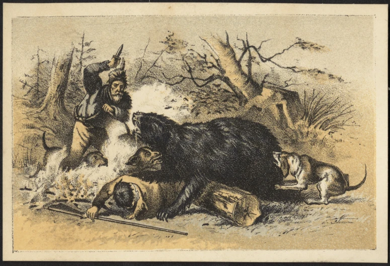 a brown bear and some dead animals on a ground