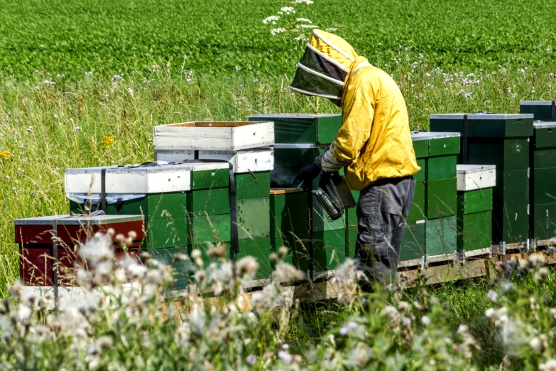 man in yellow coat filling a beehive in a field