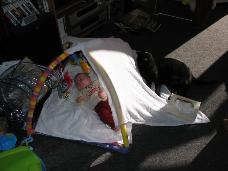 a little black cat standing next to a black and white baby