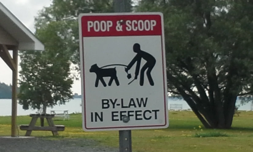 a white sign with a red stripe saying  & scoop by law in effect next to a tree and river