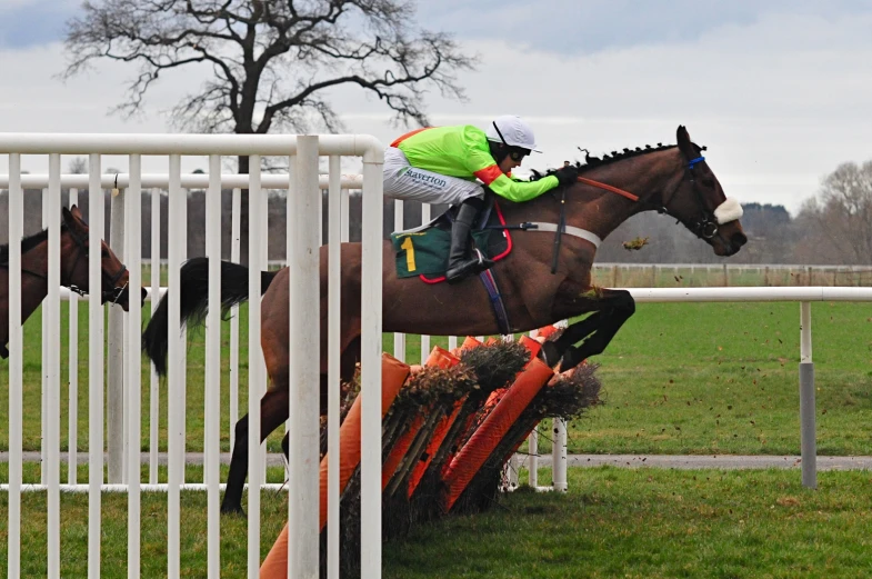 a jockey and a horse jump over obstacles