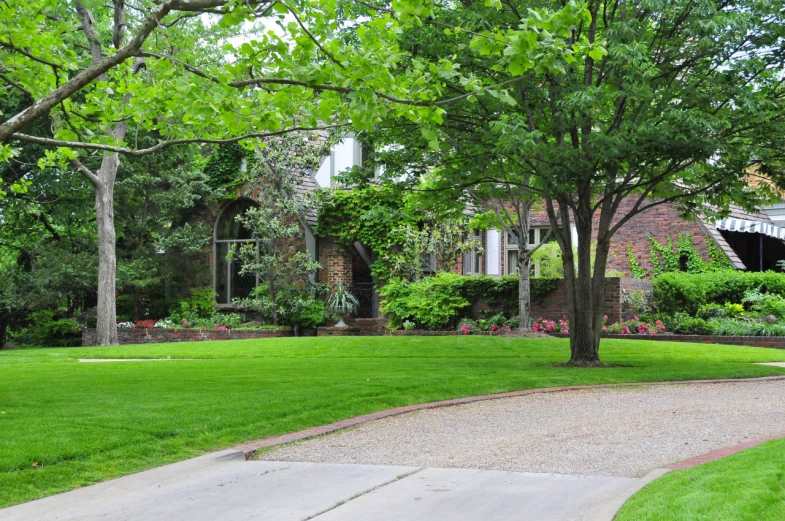 this is an outdoor yard that contains green lawn, tree and bushes