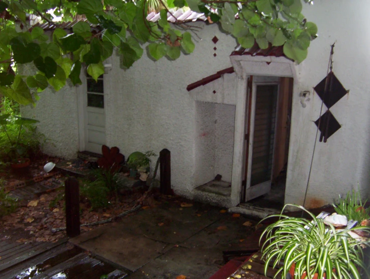 a small white house that is covered in leaves