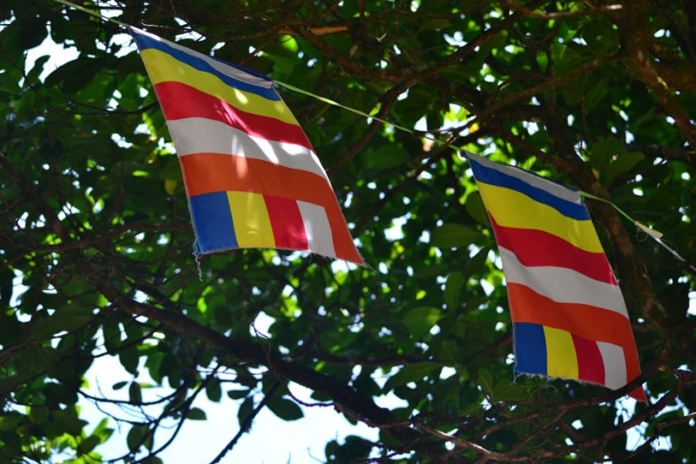 two flags hanging on a clothesline outside in a tree