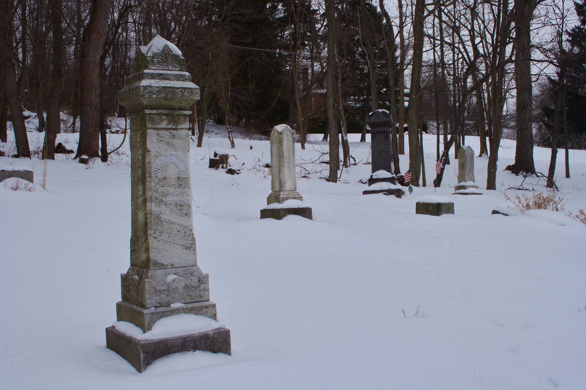 snow covered graves and trees in a snow covered area