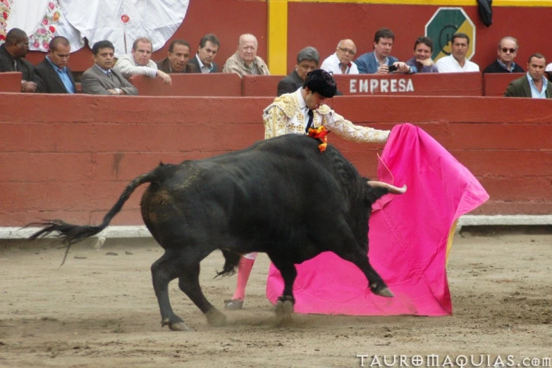 an matano being dragged through the arena by a bull