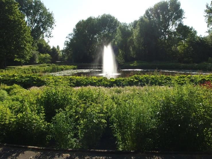 a large fountain in the middle of a green area