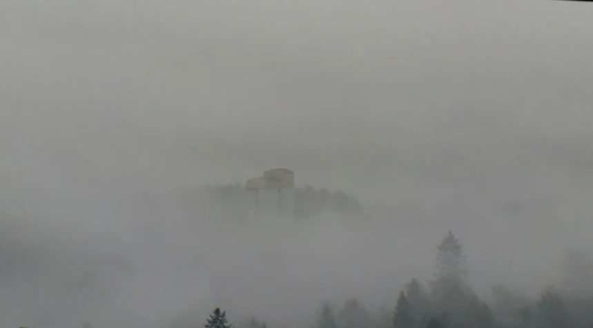 the clouds roll in behind trees on a foggy day