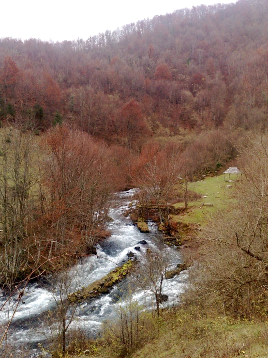 a small creek flowing among trees on the side of a mountain