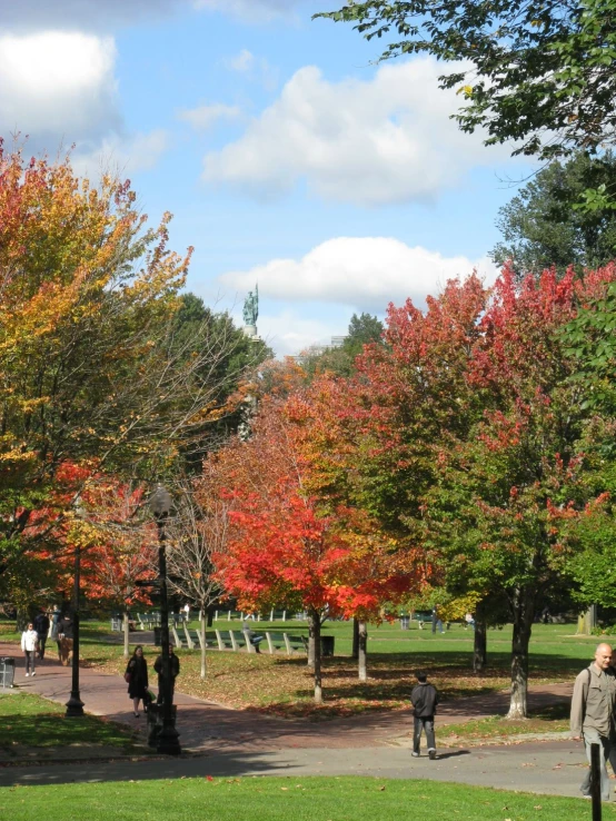 a view of trees with orange, red and green foliage in the park