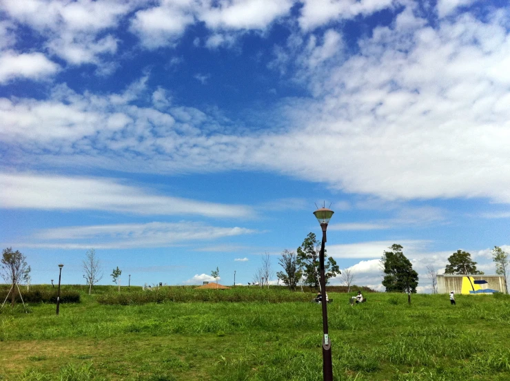 a field with a lamppost and a house in the distance