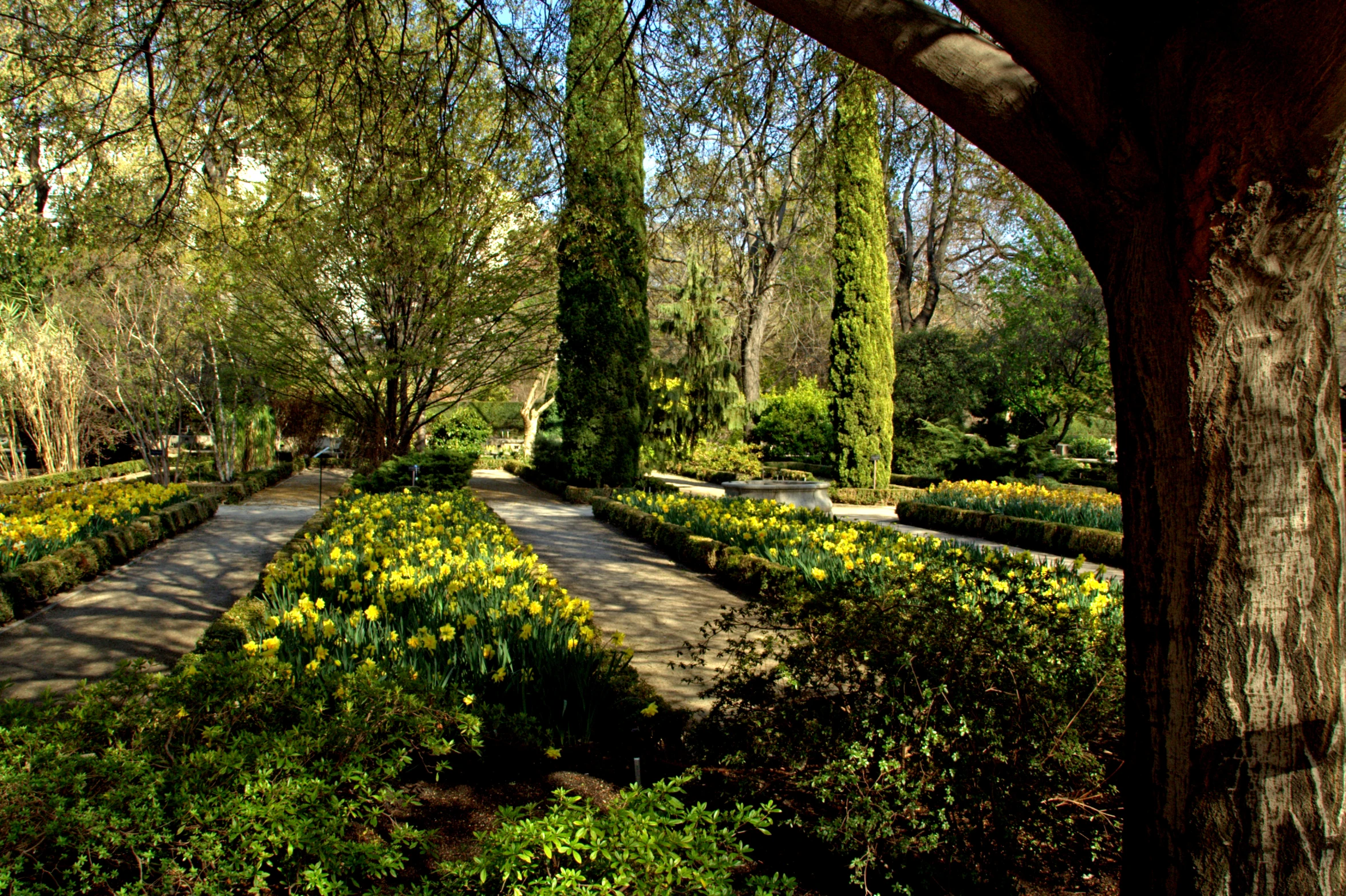 a path surrounded by a bunch of trees next to a forest