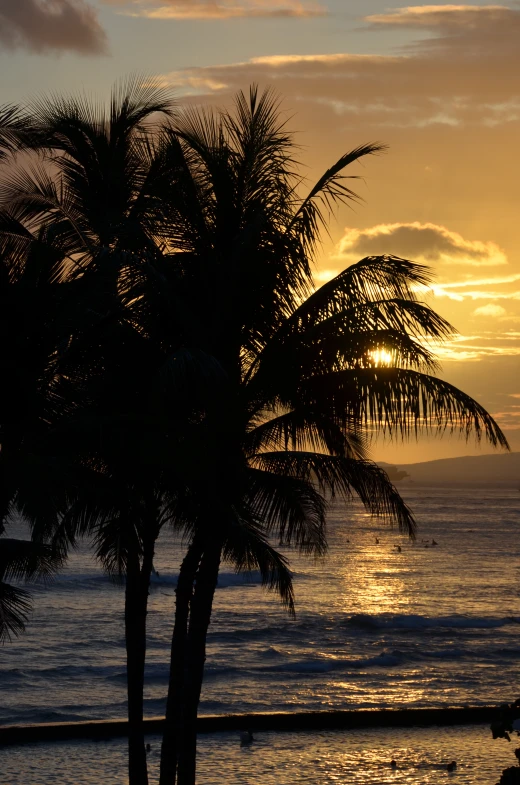 the sun is setting over a beach with some trees