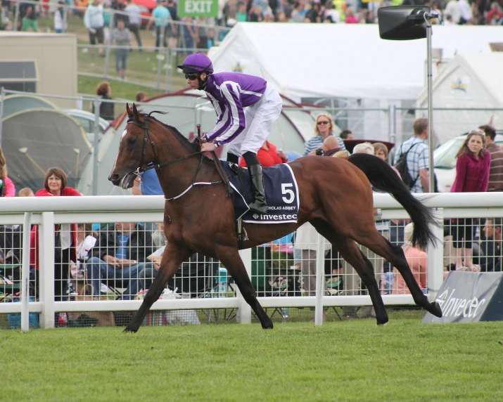 a jockey on a horse is racing on the track