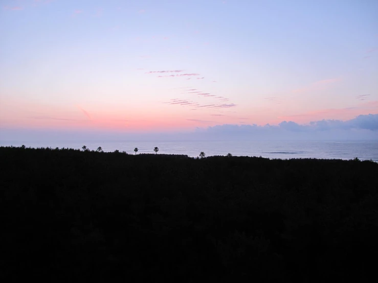 some animals standing on a grass field with the sunset in the background