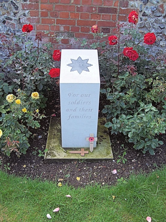 a memorial with a stone star is in the foreground with roses around