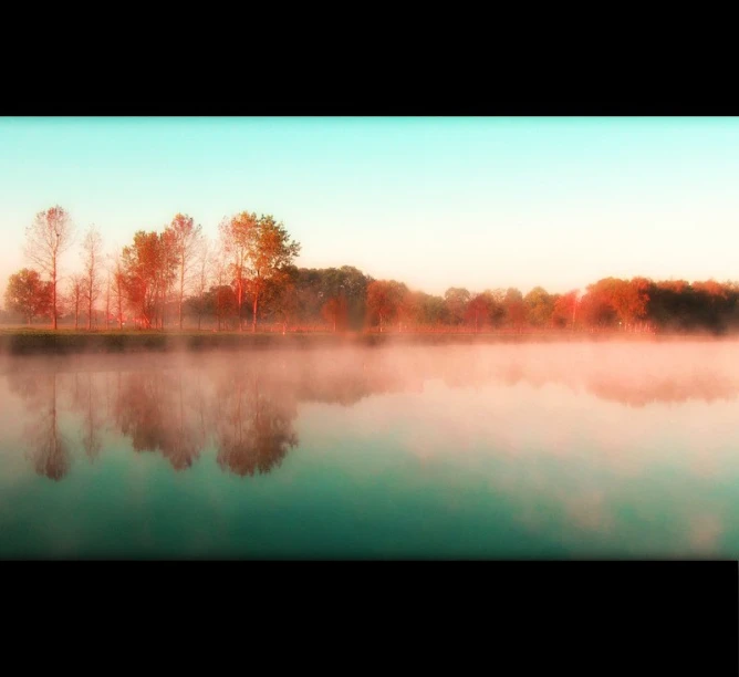 a pond with the sun low in a foggy sky