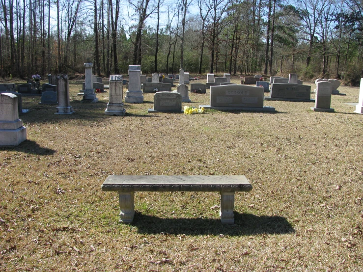 a bunch of cemetery benches that are by some trees