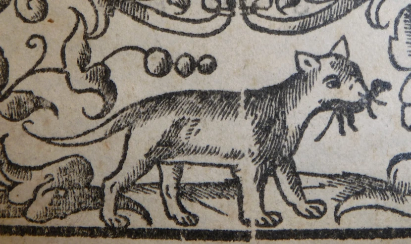 a cat and some other animals are in an old print