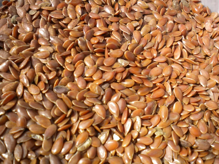 pumpkin seeds are gathered in an oval