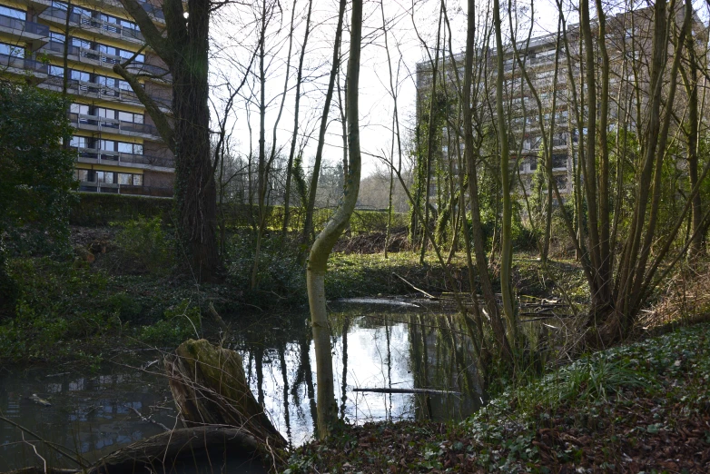 a stream of water is shown next to some buildings