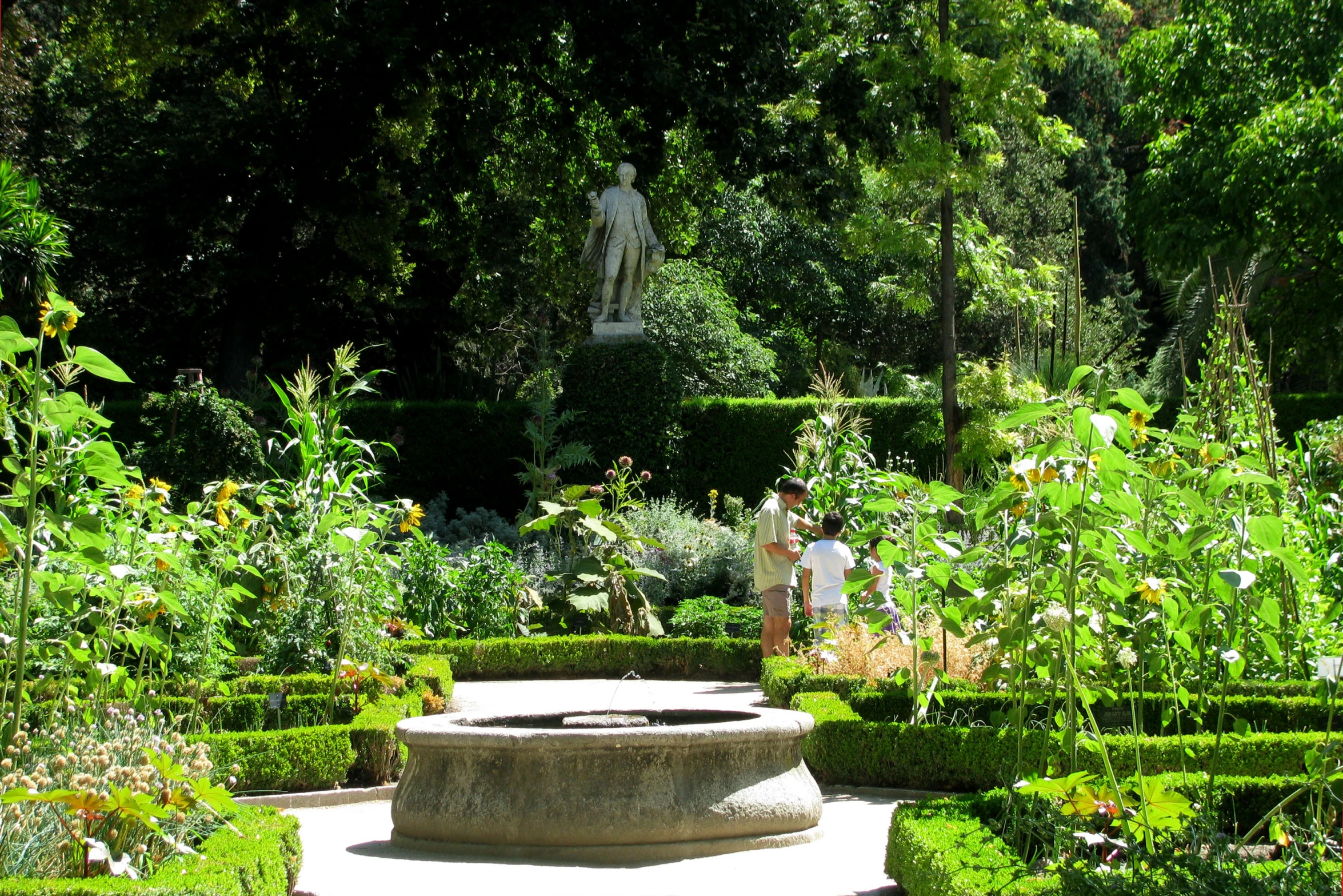 a garden with several trimmed in plants and a sculpture