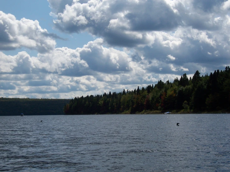 the trees are on the hill next to the water